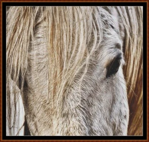 CABEZA DE CABALLO ~ patrón de punto de cruz (punto cruz cruz punto de cruz kreuzstich) - Imagen 1 de 5