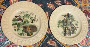 vintage (LOT OF 2) JOHN JAMES AUDUBON “THE BIRDS OF AMERICA” ADAMS PLATE England - Picture 1 of 14