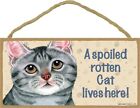A Spoiled Rotten Cat Lives here Grey Tabby wall sign 5'x10' New Wood Plaque 247