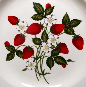 12pc. Gibson Stoneware STRAWBERRY set-4 dinner, 4 salad plates & 4 soup bowls - Picture 1 of 7