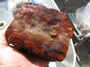 SELTEN UND SELTEN Arizona Holz 4 Pfund. 6,9 Unzen!!!Sehr schönes Unikat - Bild 1 von 8