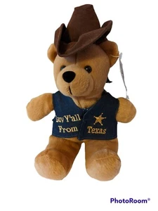 Yippee Yo Yay Luv Y'all From Texas Teddy Bear Stuffed Animal Toy plush 10 Inch - Picture 1 of 3