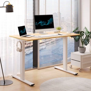 FlexiSpot Home Office Height Adjustable Standing Desk Computer Desk with Hooks - Picture 1 of 65