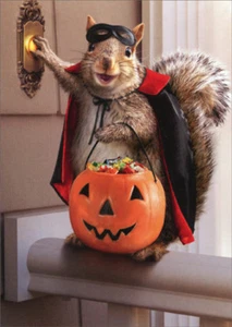 Squirrel Trick Or Treating Avanti Funny Halloween Card - Picture 1 of 2