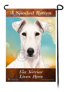 A Spoiled Rotten White Fox Terrier Lives Here - Picture 1 of 1