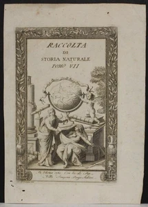 RACCOLTA DI STORIA NATURALE 1781 GERMANO UNUSUAL ANTIQUE FIGURATE FRONTISPIECE - Picture 1 of 1