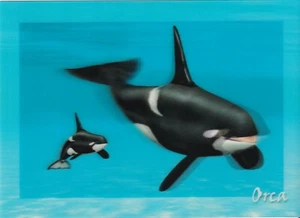 POSTCARD: 3D TYPE   "ORCA"   BY AUTHENTIC CARDS  - Imagen 1 de 2