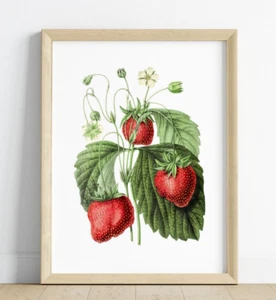 Strawberries Wall Art Print, Branch of Strawberries Wall Art Print, Home Decor - Picture 1 of 2