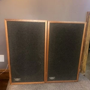 vintage pair synergistics speakers 18”x 10” rare htf - Picture 1 of 18