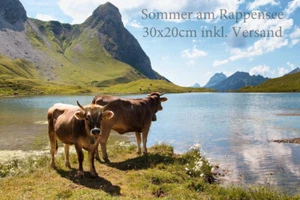 Leinwandbild aus Oberstdorf "Sommer am Rappensee" 30x20 inkl. Versand - Bild 1 von 1