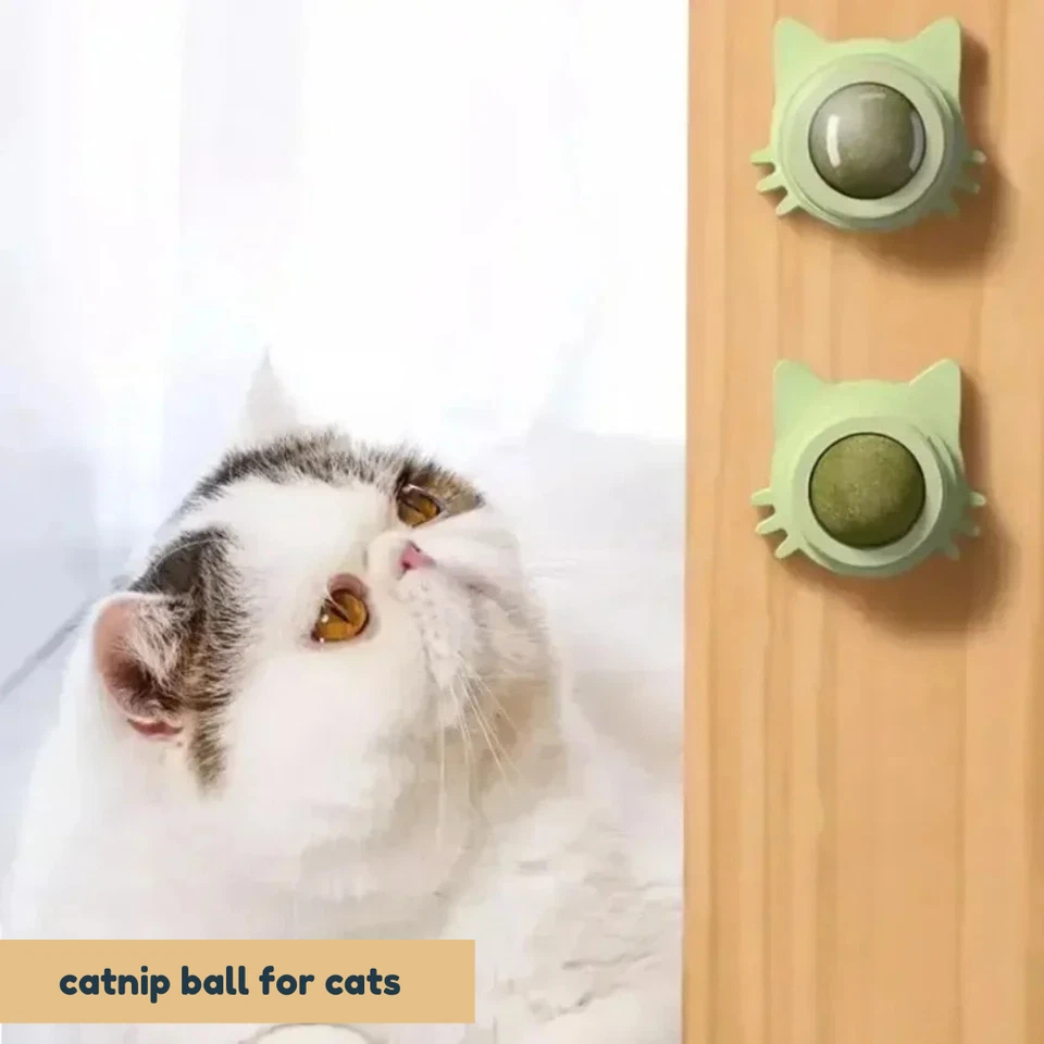 Catnip Ball for Cats | Teeth Cleaning | Catnip Wall Ball | Indoor Cat Toy - Image 1 of 3