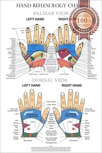 HAND REFLEXOLOGY CHART SYSTEM ANATOMICAL DIAGRAM GUIDE PRINT PREMIUM POSTER - Picture 1 of 6