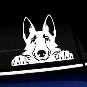 Peeking German Shepherd - Cute Sticker Decal - You choose the color - Foto 1 di 26