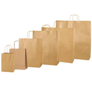 Brown Paper Carrier Bags with Handle - Party Bags for Christmas & Birthday Gifts - Picture 1 of 11