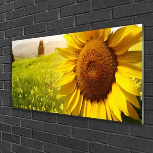 Print on Glass Wall art 100x50 Picture Image Sunflower Floral - Picture 1 of 6