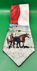 Ralph Marlin Roaming The Range Texas Flag Tie Necktie EUC - Picture 1 of 4