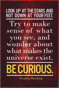 Look Up At The Stars. Be Curious. Stephen Hawking Motivational Poster 12x18 - Picture 1 of 3