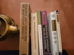 Lot Of 6 Must-Read POETRY Books Burns, Frost, Poe, Masters, Arnold - Imagen 1 de 2