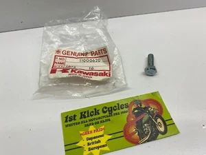 Manillar NOS Kawasaki Bolt 6x20mm 6x20 6 x 20 z1r z1 h1 h2 kz kz1000 kz900 kz - Imagen 1 de 4