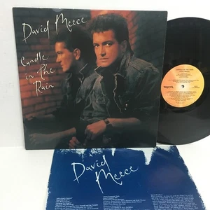 DAVID MEECE CANDLE IN THE RAIN USED  33 RPM LP RECORD VERY NICE 1987 - Picture 1 of 3