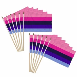 1 Dozen Omnisexual 12x18in Stick Flags LGBTQ Rainbow Pride Parade Handheld Flags - Picture 1 of 2