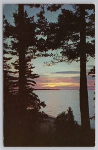 Sunset Through The Pines poema de R.C.M. Postal - Imagen 1 de 2
