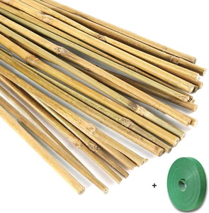 20 Stück natürliche Bambuspfähle + 1 Rolle Gartenbinder, 18 cm Bambusstäbe Garde - Bild 1 von 7