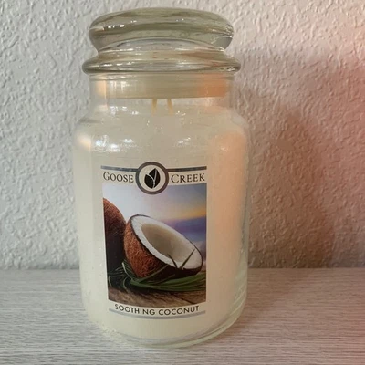 鹅溪舒缓椰子香味罐蜡烛双芯24盎司停产 — 第 1/4 张图片