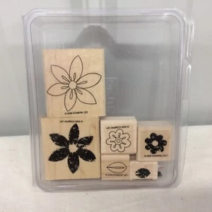 EUC '2006' "Retired" Stampin' Up! Bud Basics - Picture 1 of 4