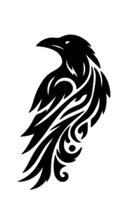 Celtic Raven Vinyl Decal Sticker Choose Size and Color - Picture 1 of 4