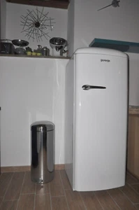 frigorifero GORENJE RB 60299 limited edition - Foto 1 di 4
