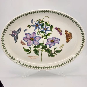 VTG Portmeirion Clematis Moths Botanic Garden 12 Inch Oval Steak Platter - Picture 1 of 7