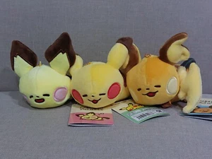 Juego de mascotas de peluche Pokémon Center Japón 2020 Yurutto Pichu Pikachu Raichu 4,5 pulgadas - Imagen 1 de 5