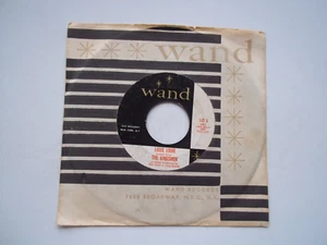 THE KINGSMEN - Louie Louie / Haunted Castle - 45 RPM 7" Record WAND - Foto 1 di 6