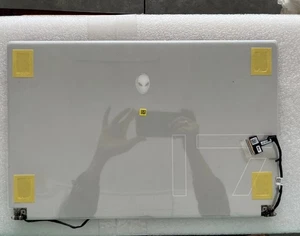 Dell ALIENWARE X17 R1 R2 17,3" SCHERMO FHD 7YGDK D42V5 3D2FF P9TCN H1 - Foto 1 di 4