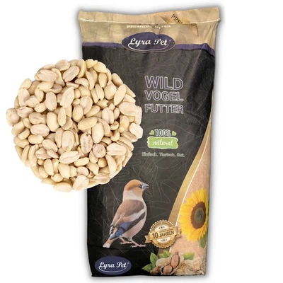 25 kg Erdnusskerne SPLITS Wildvogelfutter Erdnüsse Vögel Lyra Pet® Neue Ernte - Bild 1 von 4