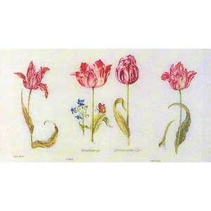 Kit point de croix Thea Gouverneur 786 Tulipes de Jacob Marrel - Imagen 1 de 4