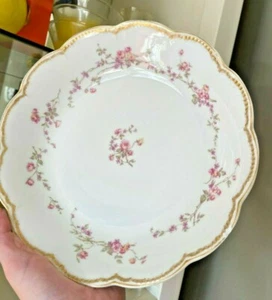 Tazón Schleiger HAVILAND & Co Limoges FRANCIA doble oro redondo 9"" rosa - Imagen 1 de 8