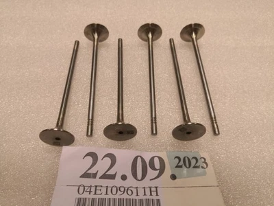 OEM AUDI CUPRA SEAT SKODA VW 1.0L TSI TFSI 6x EXHAUST VALVES NEW!!! 04E109611H - Image 1 of 4