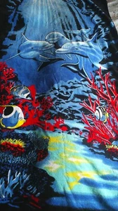 Unterwasserszene Delfine Engel Fische Korallenriff Ozean Strandtuch kräftig 80x150cm - Bild 1 von 6