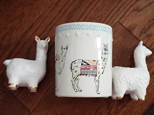 Desert Western Theme Camel Llama Flower Pot Display - Picture 1 of 13