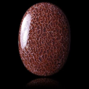 ★☆ OS DE DINOSAURE 43,95 CT de l'Utah - 34,9 mm - GEM-BC0044E ☆★ - Picture 1 of 1