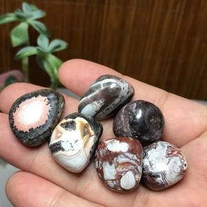 6Pcs Natural crazy Mexican agate Crystal gemstone Tumbled original Specimen 1843 - Picture 1 of 17