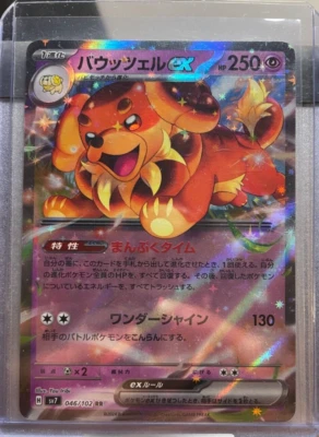Pokemon Dachsbun ex 046/102 Sv7: Stellar Miracle Holo (Japanese) - Image 1 of 2