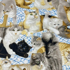 1 Yard Daisy Kingdom Vintage Katzen Miauen Allover Baumwollstoff von Springs - Bild 1 von 3