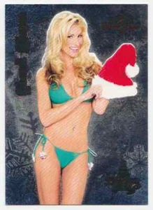 2005 Bench Warmer Holiday Foil Chandi Mason #14 - Zdjęcie 1 z 2