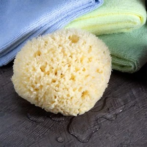 Jumbo 7" Natural Sea Wool Sponge All-Natural Honeycomb Bath Sponge Renewable - Picture 1 of 6