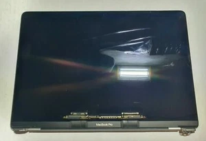 Genuine MacBook Pro 13 A2289 A2159 A1989 2018 2019 2020 LCD Screen Gray Grade B - Afbeelding 1 van 8