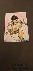 2013 Cryptozoic DC Comics The Women of Legend Sketch Card Jake Sumbing Vixen 1/1 - Picture 1 of 2