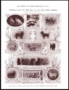 CAIRN TERRIER NAMED DOGS VINTAGE STYLE A4 SIZE DOG SEPIA ART PRINT POSTER - Foto 1 di 1